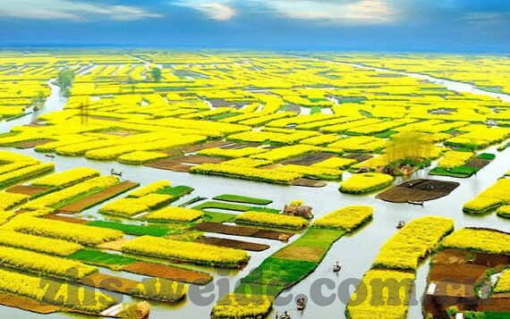 下载九州传说手游-下载九州传说手游，探索古老传奇，点燃虚拟世界的冒险激情